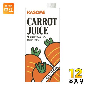 JS LbgW[X zeXgp 1L pbN 12{ (6{×2 ܂Ƃߔ) ؃W[X