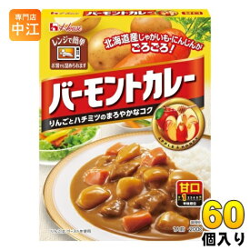 ハウス バーモントカレー レトルト 甘口 200g 60個 (30個入×2 まとめ買い)