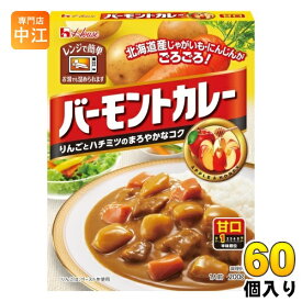 ハウス バーモントカレー レトルト 甘口 200g 60個 (30個入×2 まとめ買い)