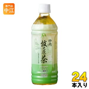 �������� �q�V���́u�����v 500ml �y�b�g�{�g�� 24�{�� ���� �Β� ������