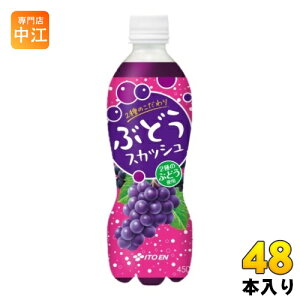 ɓ 2̂ԂǂXJbV 450ml ybg{g 48{ (24{×2 ܂Ƃߔ) Y_ Ԃǂ