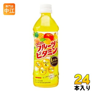 TKA ƃt[cr^~ 500ml ybg{g 24{