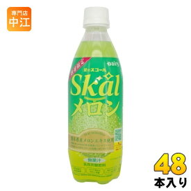 南日本酪農 スコール メロン 500ml ペットボトル 48本 (24本入×2 まとめ買い) 炭酸飲料 めろん 数量限定