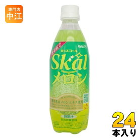 南日本酪農 スコール メロン 500ml ペットボトル 24本入 炭酸飲料 めろん 数量限定