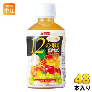 サンA 1日分の12の果実 240ml ペットボトル 48本 (24本入×2 まとめ買い) 果汁飲料