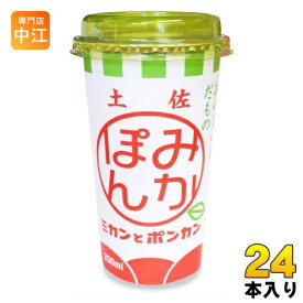 高知アイス みかぽん 200ml カップ 24本 (12本入×2 まとめ買い) 果汁飲料