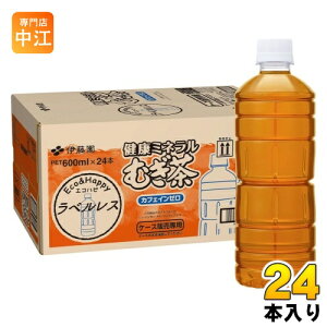 ɓ N~lނ xX 600ml ybg{g 24{  fJtF mJtFC 