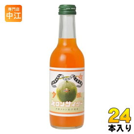 友桝飲料 夕張メロンサイダー 245ml 瓶 24本入 炭酸飲料