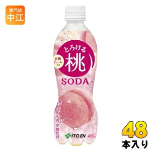 ɓ Ƃ낯铍\[_ 450ml ybg{g 48{ (24{×2 ܂Ƃߔ) Y_ ʏ`Y_