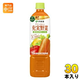 伊藤園 充実野菜 緑黄色野菜ミックス 740g ペットボトル 30本 (15本入×2 まとめ買い) 野菜ジュース 健康飲料