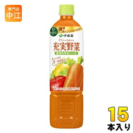 伊藤園 充実野菜 緑黄色野菜ミックス 740g ペットボトル 15本入 野菜ジュース 健康飲料
