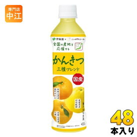 伊藤園 ニッポンエール 国産かんきつ 三種ブレンド 400g ペットボトル 48本 (24本入×2 まとめ買い) 果汁飲料 温州みかん 河内晩柑 八朔