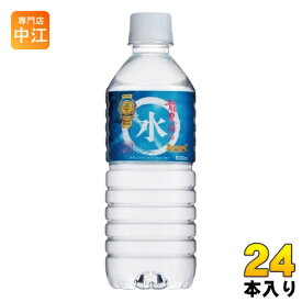 岩泉 龍泉洞の水 500ml ペットボトル 24本入 ウォーター 天然水 中硬水