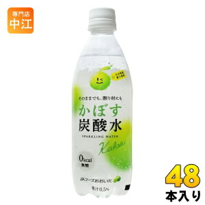 JAt[Y ڂY_ 500ml ybg{g 48{ (24{×2 ܂Ƃߔ)  Y_ [J[