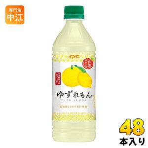 _Ch[ aʂ 䂸 500ml ybg{g 48{ (24{×2 ܂Ƃߔ) ʏ`