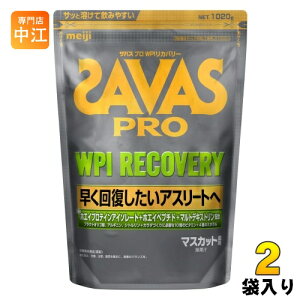  UoX PRO WPI Jo[ 1020g 2 (1ܓ×2 ܂Ƃߔ) zGCveC SAVAS  }XJbg