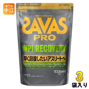  UoX PRO WPI Jo[ 1020g 3 (1ܓ×3 ܂Ƃߔ) zGCveC SAVAS  }XJbg