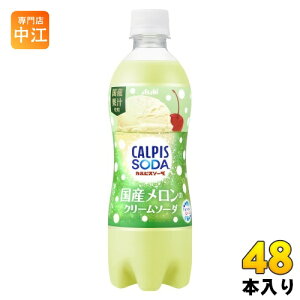 ATq JsX\[_ ỸN[\[_ 500ml ybg{g 48{ (24{×2 ܂Ƃߔ) Y_ _ۈ Y Yʏ`gp