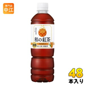 ATq a̍g ACXeB[ 500ml ybg{g 48{ (24{×2 ܂Ƃߔ) g Xg[geB[ mVK[