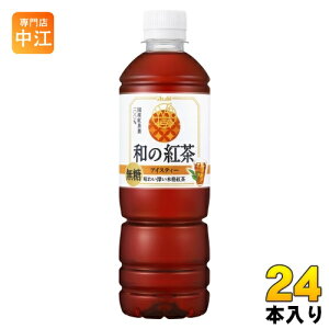 ATq a̍g ACXeB[ 500ml ybg{g 24{ g Xg[geB[ mVK[