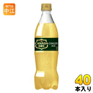 RJER[ Ji_hC WW[G[ 700ml ybg{g 40{ (20{×2 ܂Ƃߔ) Y_ WWG[ mJtFC ÂT 㖡XbL