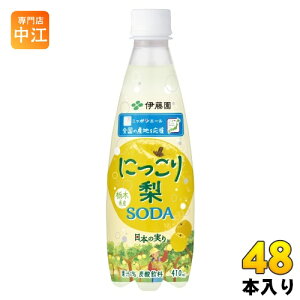 ɓ jb|G[ Ȗ،Y ɂ藜\[_ 410ml ybg{g 48{ (24{×2 ܂Ƃߔ) Y_ Ȃ\[_