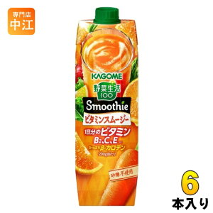 JS ؐ100 X[W[ r^~X[W[ 1000g pbN 6{ ؃W[X r^~ Smoothie