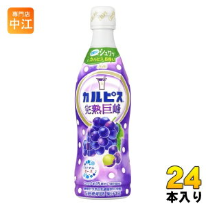 アサヒ カルピス 完熟巨峰 5倍希釈用 470ml プラスチックボトル 24本 (12本入×2 まとめ買い) 乳酸菌飲料 乳酸菌 乳性飲料 希釈