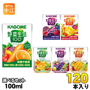 JS ؐ 100ml pbN Iׂ 120{ (30{×4) ǂ ؃W[X ؐ100 IWi x[T_ }S[T_ ₳ e