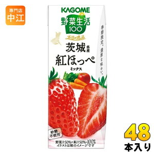 JS ؐ100 {̈i 錧Ygق؃~bNX 195ml pbN 48{ (24{×2 ܂Ƃߔ) ؃W[X Gߌ ʏ`~bNX sgp