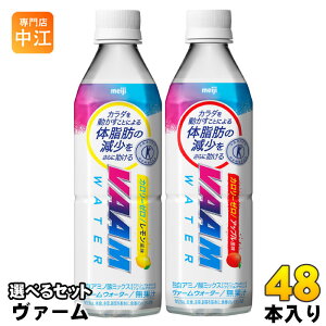 ���� ���@�[���E�H�[�^�[ 500ml �y�b�g�{�g�� �I�ׂ� 48�{ (24�{×2) ����ی��p�H�i VAAM �J�����[�[�� �g�N�z ���� �I���� �M���Ǒ΍� �����⋋