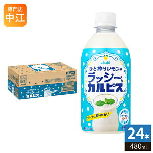 �A�T�q �J���s�X �Ђƍ�背�����̃��b�V�[&�J���s�X 480ml �y�b�g�{�g�� 24�{�� ���_�ۈ��� CALPIS �u�₩