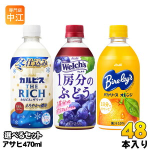 JsX THE RICH EF` o[X 470ml ybg{g Iׂ 48{ (24{×2) ATq ǂ Ub` Welch's Ԃǂ IWW[X _ۈ MǑ΍