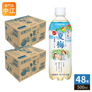 �k6��9�������l �`���[�� �Ĕ~�\�[�_ 500g �y�b�g�{�g�� 48�{ (24�{��×2 �܂Ƃߔ���) ���Ԍ��� �Y�_���� �~�W���[�X �i�c�E�� �~�h�����N �I�B�Y�썂�~�g�p