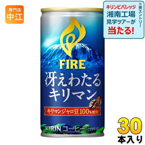 L FIRE t@CA Ⴆ킽 L} 185g  30{ kR[q[l