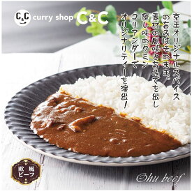 新宿カレー 欧風ビーフ30個セット(1ケース)