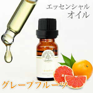 A}IC  GbZVIC fBt[U[ v[g o^C Ԃ zCgf[ Mtg O[vt[c 10ml PINETREE pCc[ 100% VR
