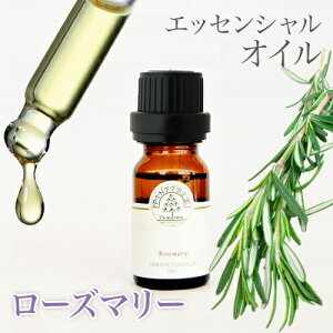アロマオイル 精油 エッセンシャルオイル ディフューザー プレゼント バレンタイン お返し ホワイトデー ギフト ローズマリー 10ml PINETREE パインツリー 100% 天然