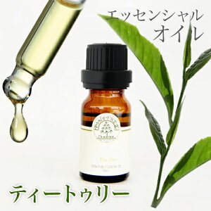 A}IC  GbZVIC fBt[U[ v[g o^C Ԃ zCgf[ Mtg eB[gD[ 10ml PINETREE pCc[ 100% VR