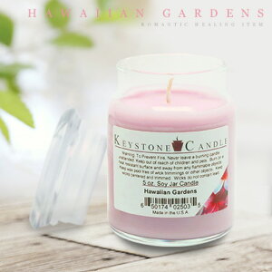 A}Lh v[g  o^C Ԃ zCgf[ I[KjbN Lh Mtg L[Xg[Lh KEYSTONE CANDLE L[Xg EhW[ nCAEK[f