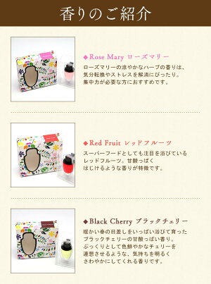 アロマディフューザーアロマフレグランスディフューザー陶器プレゼントギフト【ルームフラグランスアロマディフューザー】AromaSpaceRoomFragranceDiffuser
