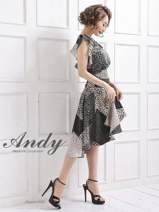 楽天市場】S/M 送料無料 Andy / アンディ レオパード柄ミックス 