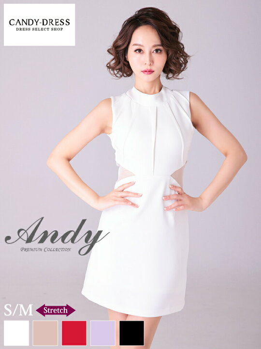 楽天市場】【再入荷】S/M 送料無料 Andy / アンディ ストレッチ無地 