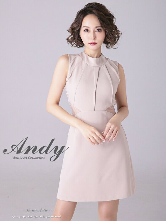 楽天市場】【再入荷】S/M 送料無料 Andy / アンディ ストレッチ無地  