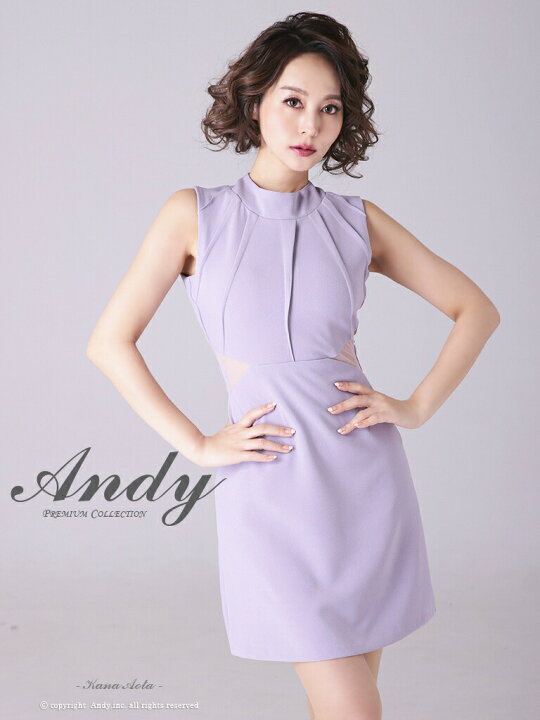 楽天市場】【再入荷】S/M 送料無料 Andy / アンディ ストレッチ無地  