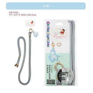 TNXgyN񂿂FiAN`[tjzX}zV_[ XgbvzyiSB-CSz񂿂 V {[