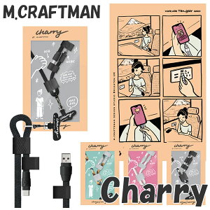 [dP[u V_[Xgbv `[[ Charry ([֑) X}z gѓdb V_[Xgbv [dP[u [d USB-TypeC