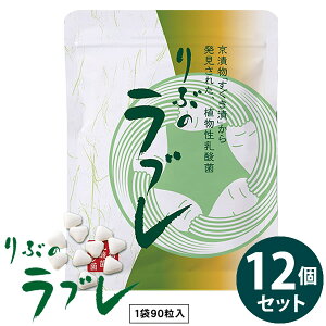 Ԃ̃u 12Zbg (Sꗥ) u A_  ۊ  _ Tvg NHi