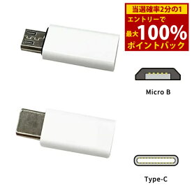 ＜3/18限定★最大100%ポイントバック＞5GO(ゴーゴー) Lightning 変換コネクタ 丸山修寛先生監修 電磁波 電磁波 対策 防止 カット iOS スマホ スマートフォン タブレット ライトニングコネクタ