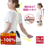 ＜4/14〜4/17限定★最大100%ポイントバック＞Dr.PRO シャキット腰ベルト (メール便送料無料) 腰サポータ…